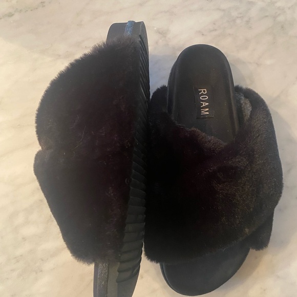 ROAM - Picture 2 of 4